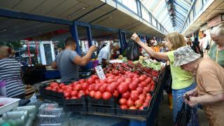 Невиждано поскъпване на доматите от 10 години насам