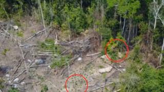 Дрон засне нещо супер мистериозно в Амазонската джунгла (СНИМКИ/ВИДЕО)