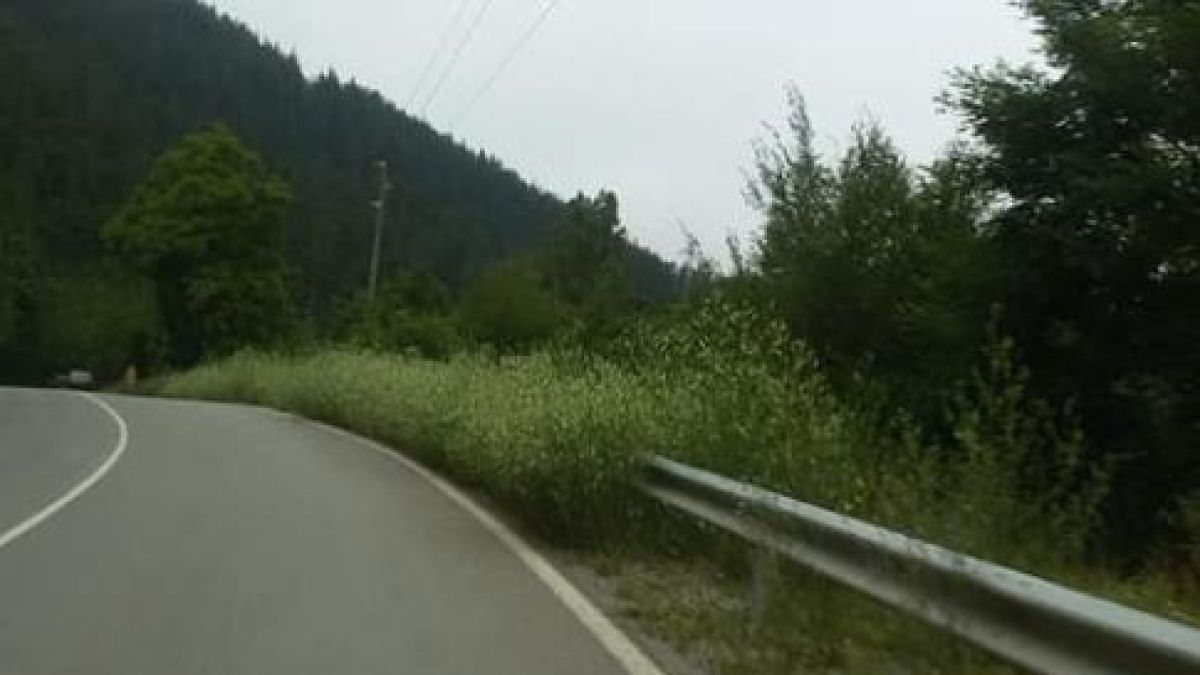 СНИМКИ и ВИДЕО показват каква джунгла е пътят Своге - София