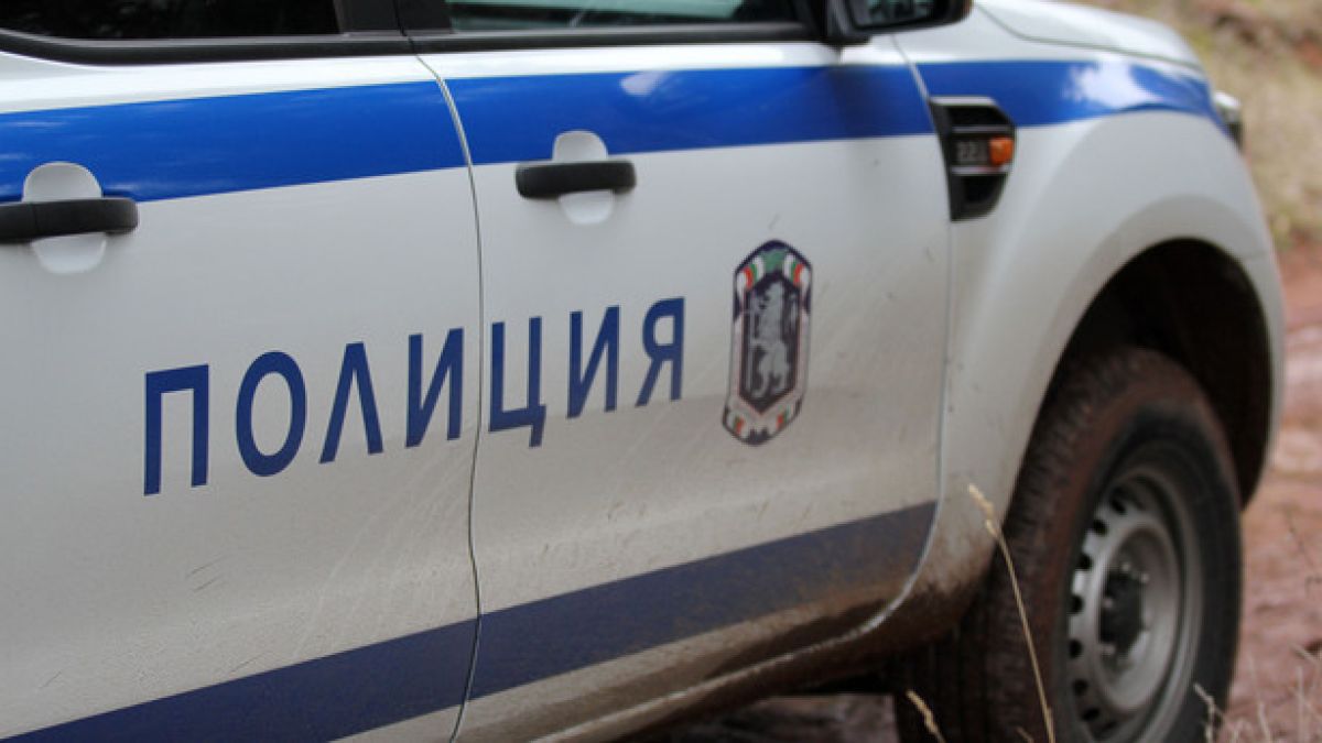 Сигнал до БЛИЦ: Кола се запали след като блъсна кон в столицата
