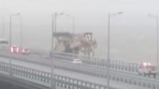 Огромно морско съоръжение се вряза в Кримския мост (ВИДЕО)