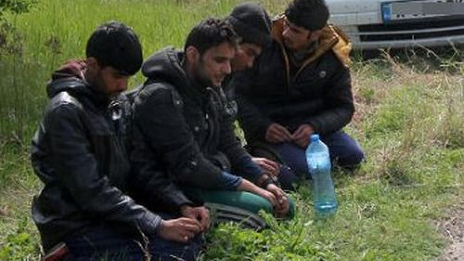 Ето къде са тайните бърлоги на бежанците край София