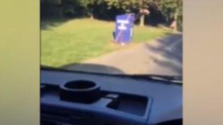 Шофьор засне нещо, което не сте очаквали да видите дори и след много тежка пиянска вечер (ВИДЕО)