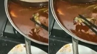 Бременна намери плъх в супата си, а от ресторанта поискаха да я компенсират с пари за аборт (ВИДЕО)