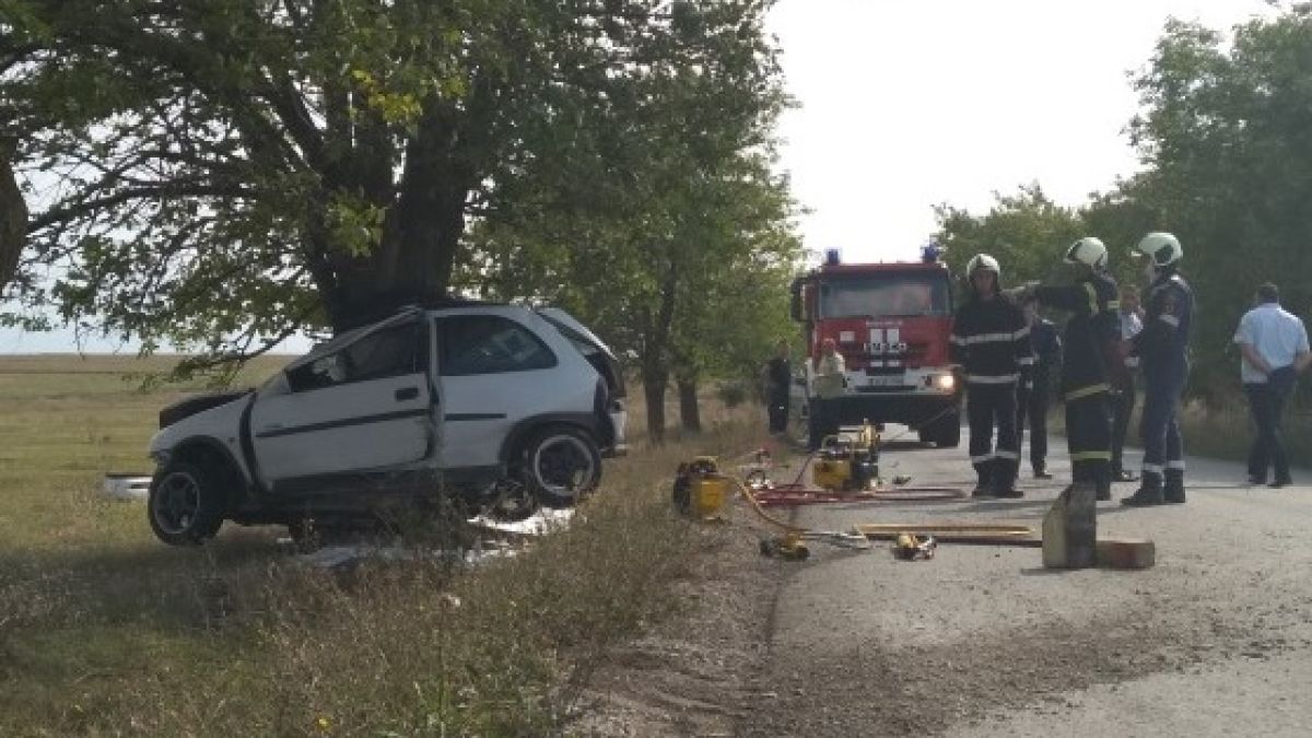 Млада жена загуби живота си под вековно дърво в Шуменско 
