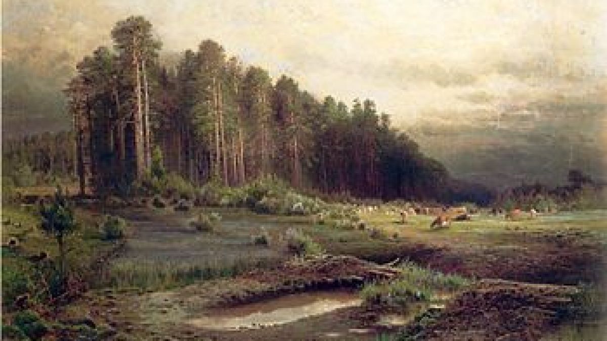 Зловещо! Скелет и отрязана глава на частен детектив бяха открити в парк
