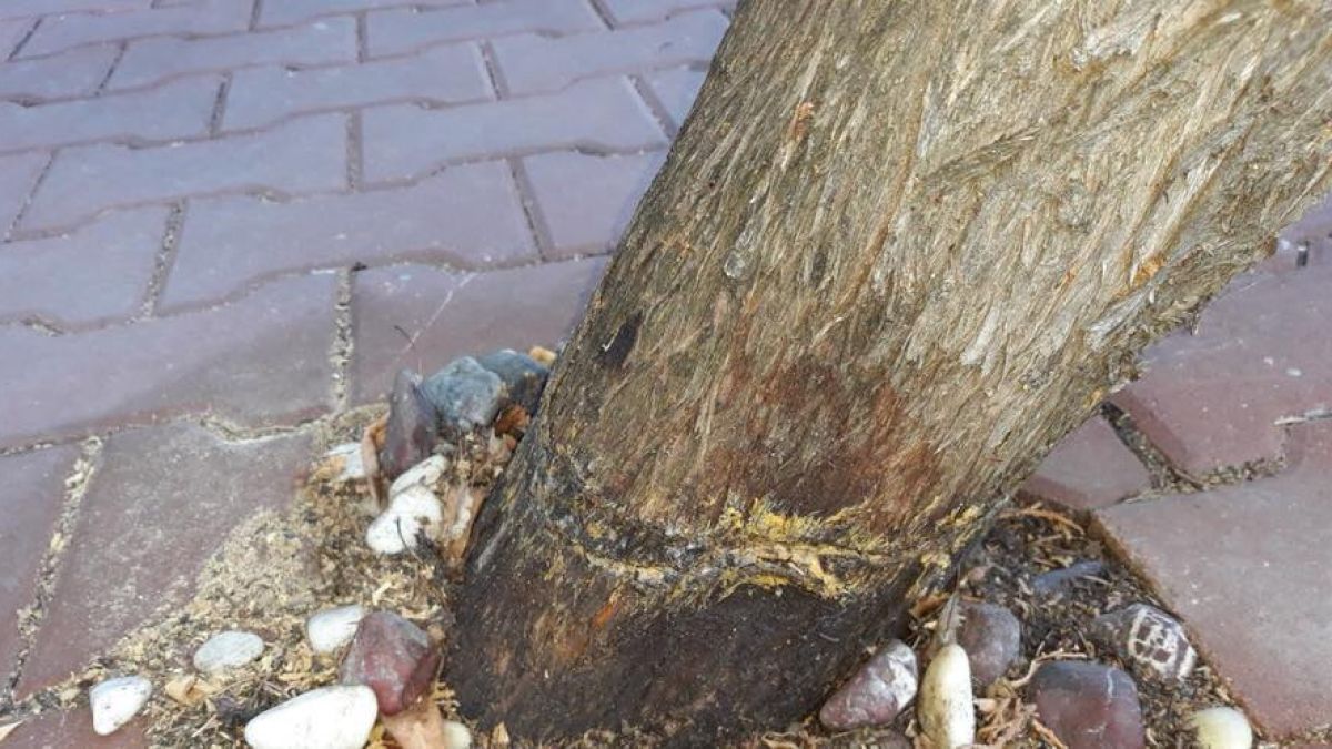 Само в БЛИЦ! Невиждана простотия в ж.к. "Гео Милев" в София вбеси мрежата (СНИМКИ)