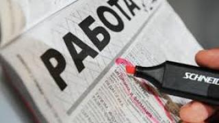 Безработица ли? Ето къде може лесно да си намерите работа (ВИДЕО)