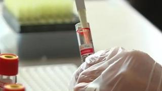 Вирус убиец взе първа жертва в България