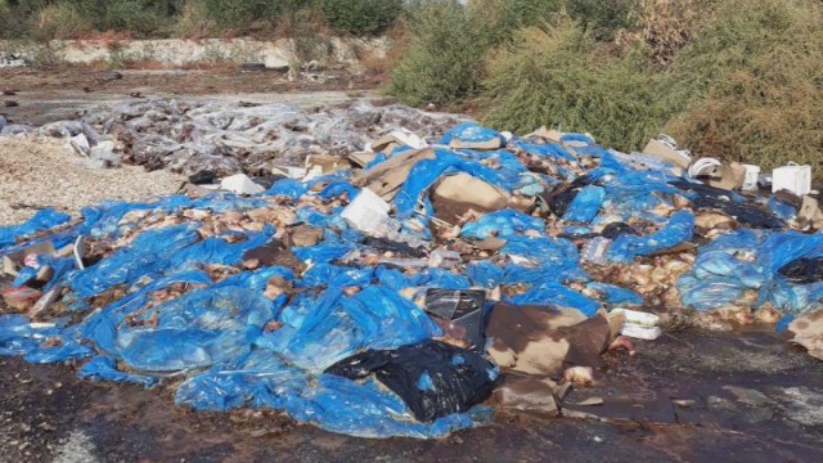 Нетърпима смрад се разнесе край Враца заради тази гнусотия (СНИМКА)