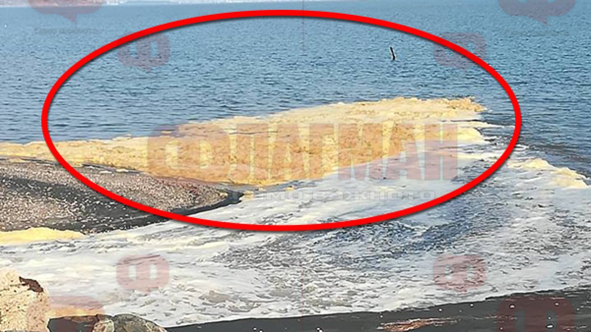 Бургазлии са шокирани! Нещо много странно се случва в морето до солниците (СНИМКИ)