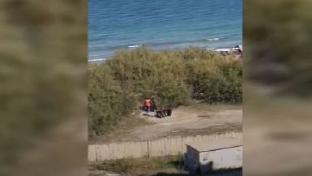 Роми налазиха дюните в Поморие! С черни чували и каруци започнаха да... (СНИМКИ/ВИДЕО)