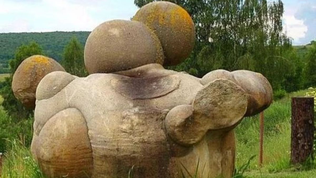Изумително! Живите камъни съществуват – наричат се трованти и могат да бъдат разгледани само през една граница разстояние 