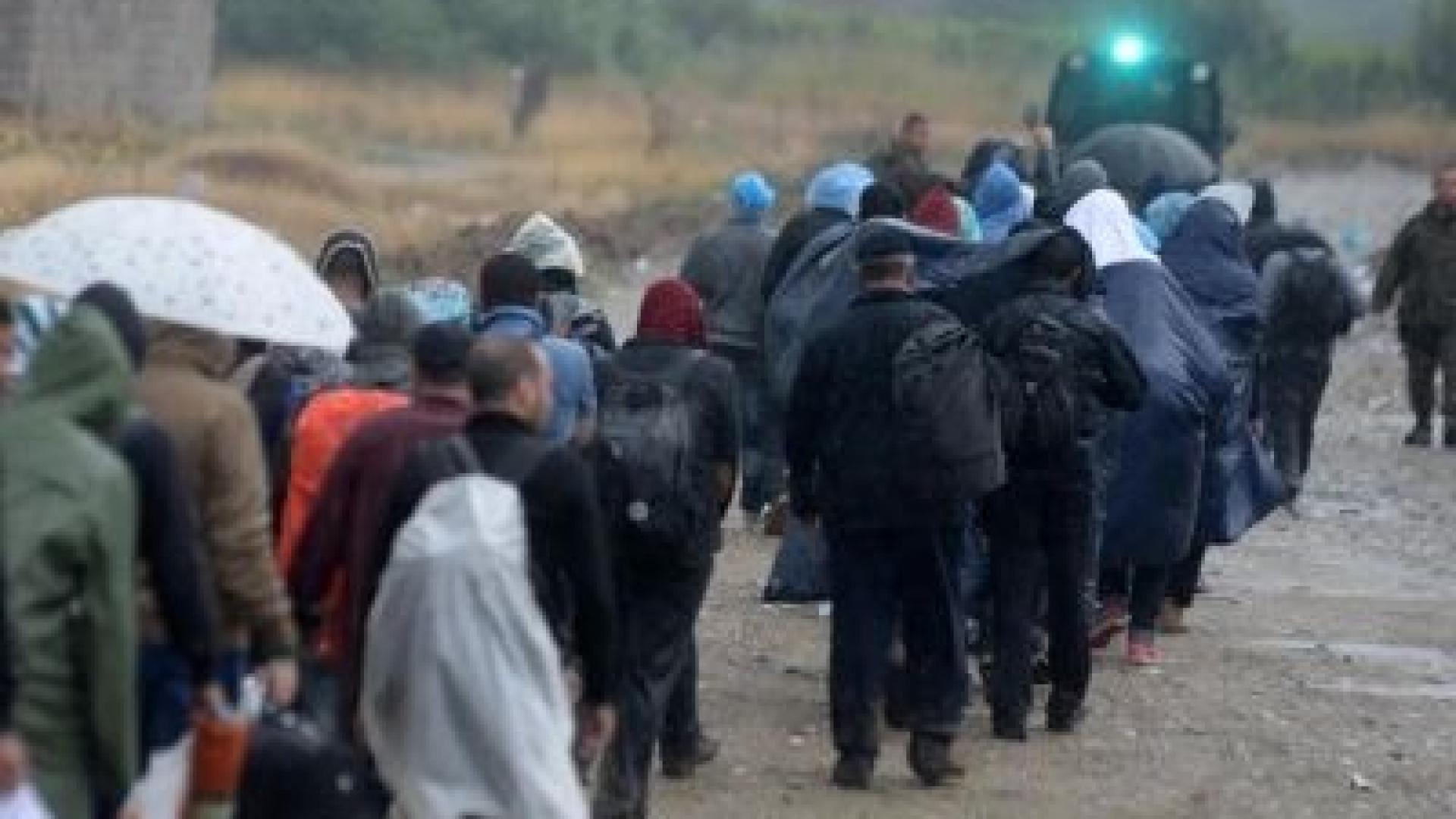 Родни работодатели дават работа на бежанци, кандидати – нула