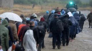 Родни работодатели дават работа на бежанци, кандидати – нула