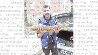 Рибар извади истинско чудовище от водите на река Места