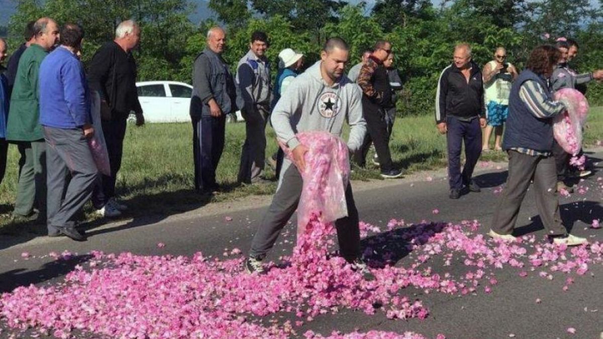 Нов закон: Сурови глоби за нерегистрирани фермери и предприятия, които отглеждат рози