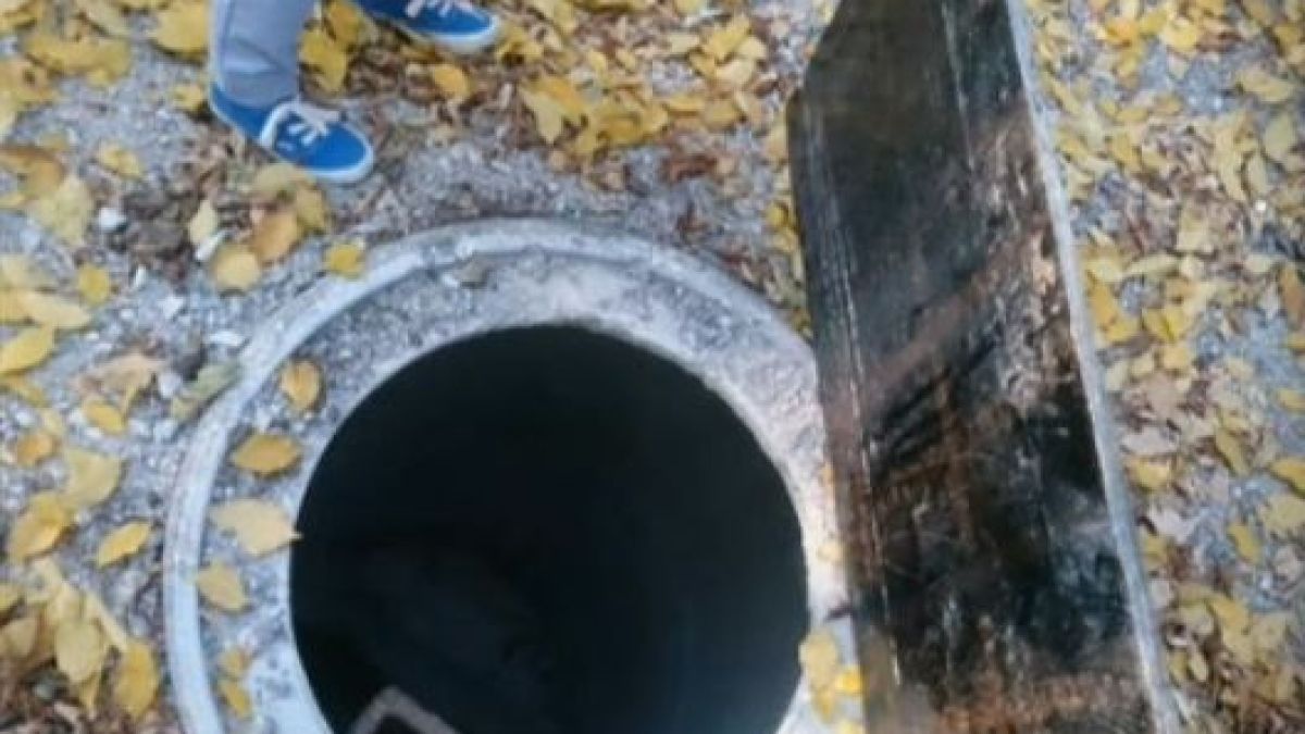 Гледайте си внимателно в краката, ако се разхождате в Западен парк в София 