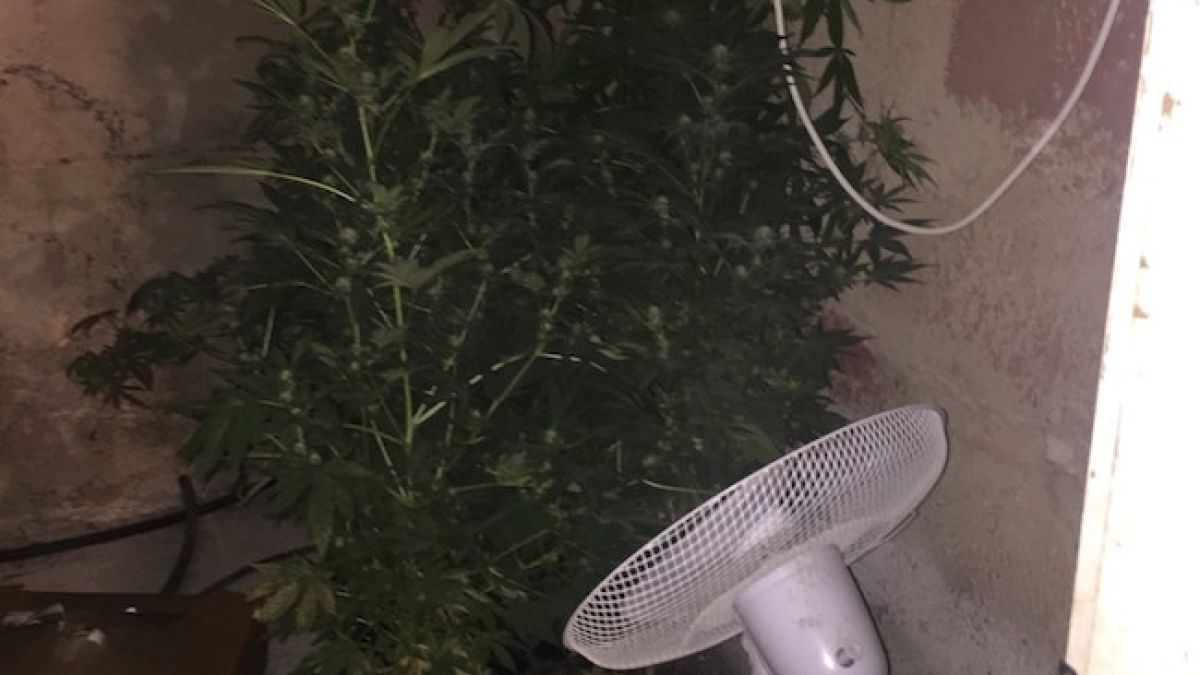 Удар по наркотиците! Задържаха трима в София, тровили с дрога наляво и надясно (СНИМКИ/ВИДЕО)