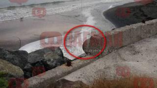 Съмнителен природен феномен до бургаските солници остава загадка (СНИМКИ)