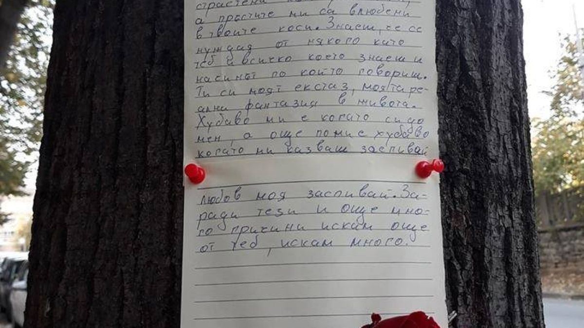 Влюбен Ромео предизвика умилението на десетки боляри с нетрадиционното си обяснение (СНИМКА)