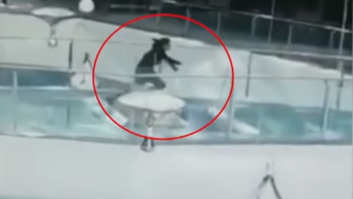 Ужас: Жена падна в басейн с гладни акули (ВИДЕО)