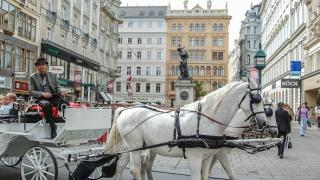 Спор за файтоните във Виена