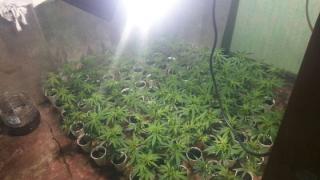 ГДБОП с голям удар край Варна (СНИМКИ)
