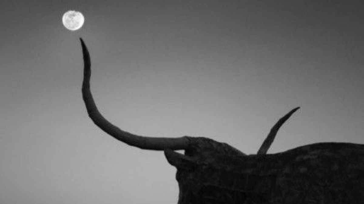 5 неща, които трябва да знаем за Пълнолунието в Телец