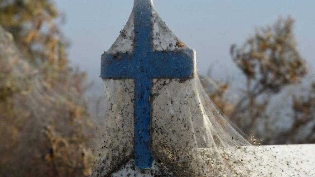 Страшна напаст! Езеро в Гърция заприлича на сцена от филм на ужасите заради рядък феномен (ВИДЕО)