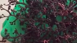 Учените се чудят и маят какво е това създание, което морето изхвърли на виетнамски плаж (ВИДЕО)