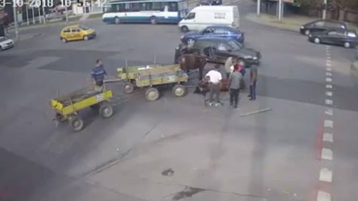 Това държава ли е? Шокиращо ВИДЕО с коне и две каруци, които връхлитат в галоп кола на голямо кръстовище в Хасково
