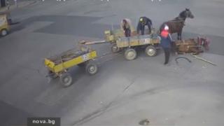 Това е наказанието за каруцарите врязали конете си в кола на голямо кръстовище в Хасково