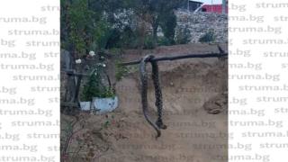 Шок в Санданско! Огромна усойница влезе в двора на Кирил, но той не трепна, а ... (СНИМКА)