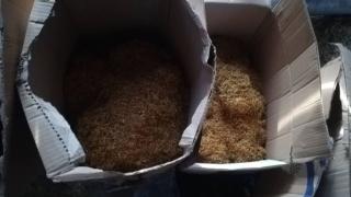 Полицаи влязоха в обор в Ракитово и онемяха от видяното