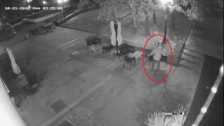 БЛИЦ TV: Такава наглост и вандализъм не бяха виждали в Карлово от много време!