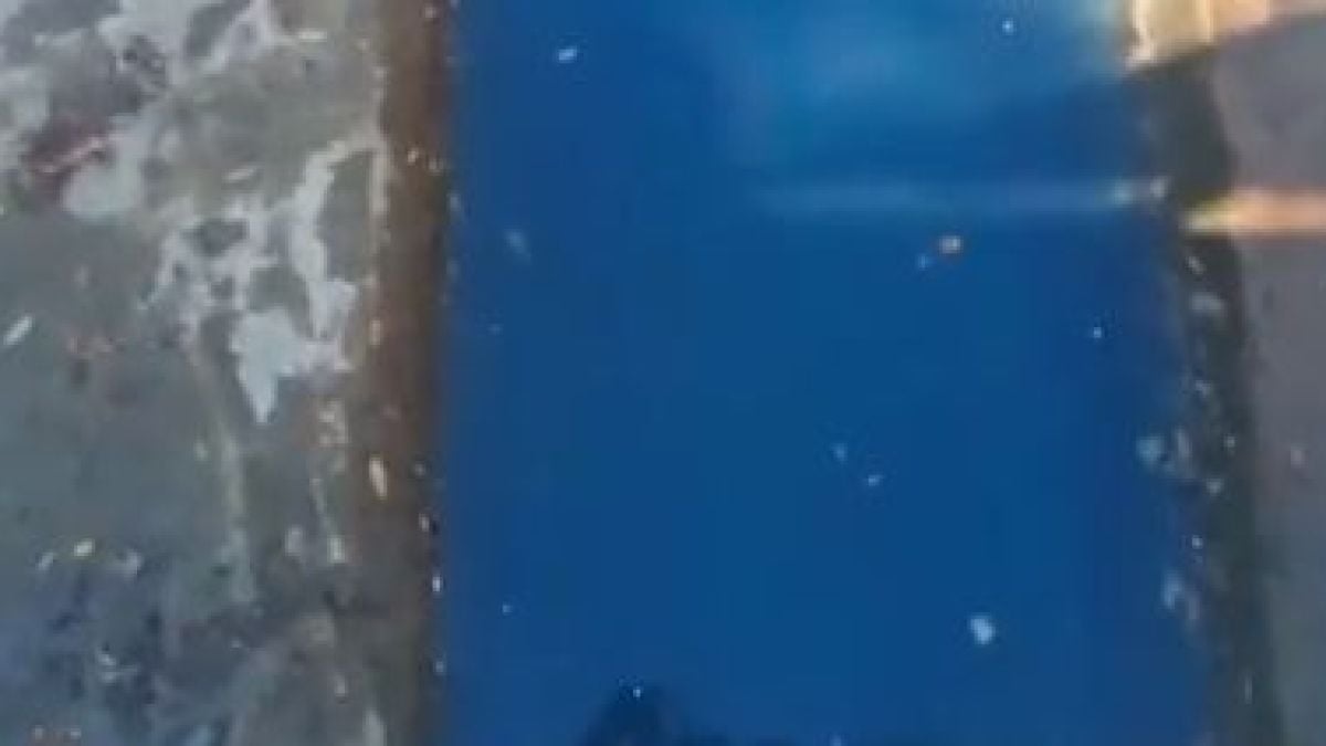 Софиянец онемя, като видя какво тече в река "Слатинска" (ВИДЕО)
