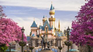 Посетителите превърнаха Disney парковете в зловещо място с това, което все по-често правят там 