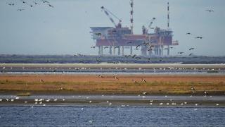 Ето какво се случва с цените на петрола