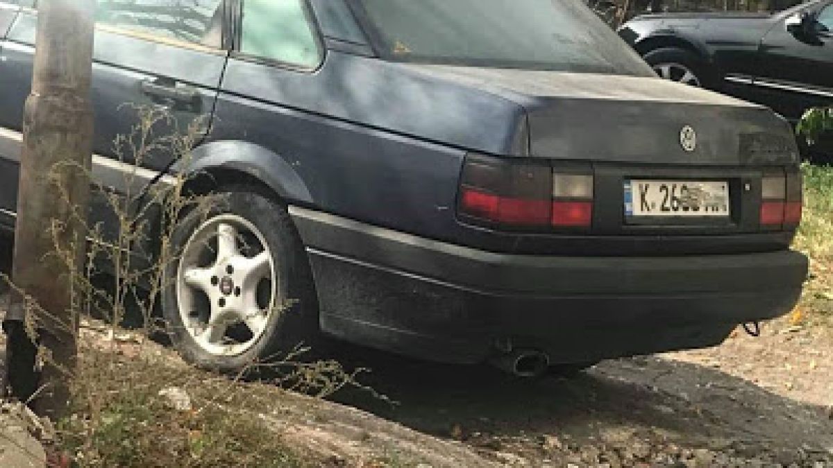 Зверство! Мъже пребиват кучета с колове до автогарата в Кърджали