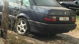Зверство! Мъже пребиват кучета с колове до автогарата в Кърджали