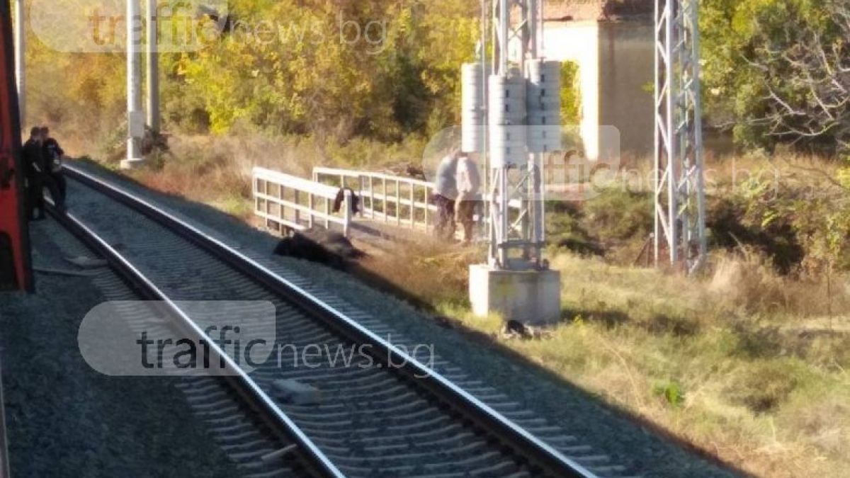 Влак блъсна каруца край Стара Загора, полиция и жандармерия отцепиха района (СНИМКИ)