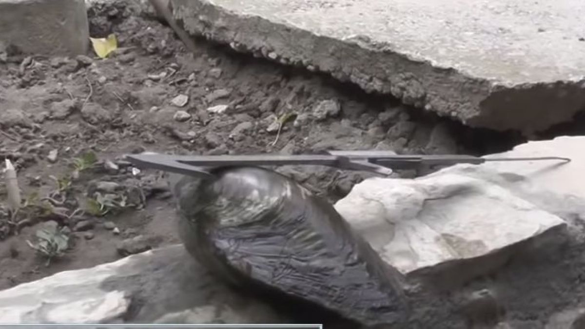 Рибарят Цеко Метъра извади невиждано чудо от водите на Дунав (СНИМКИ)