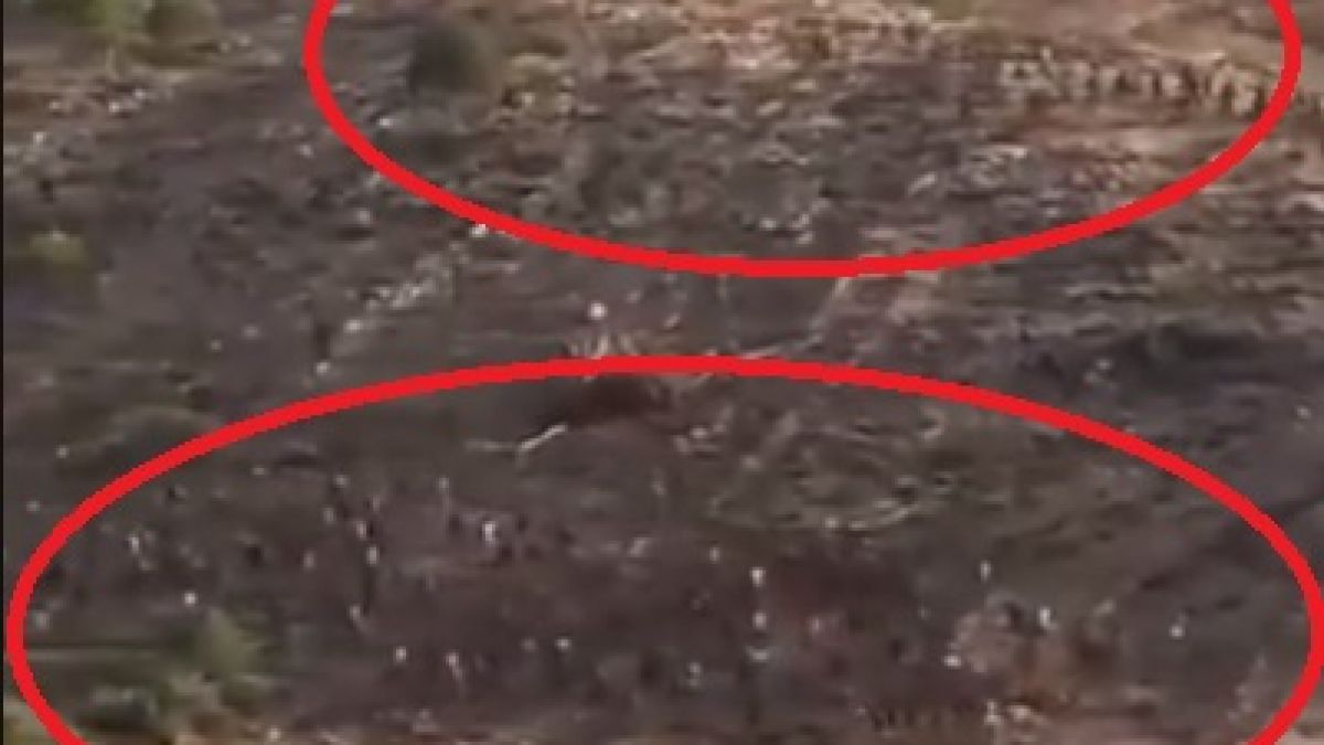 Джамбазки с нови разкрития за голямата опасност, надвиснала над Европа! (ВИДЕО)