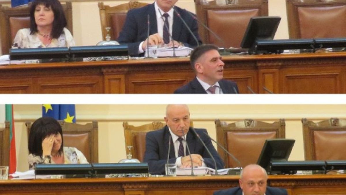 Мощен скандал взриви парламента! Депутати се обиждат на "мишки" и "мишлета"!