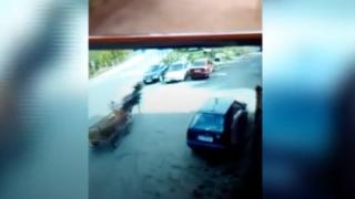 Невиждан екшън и пак ужас на пътя край Своге (ВИДЕО)