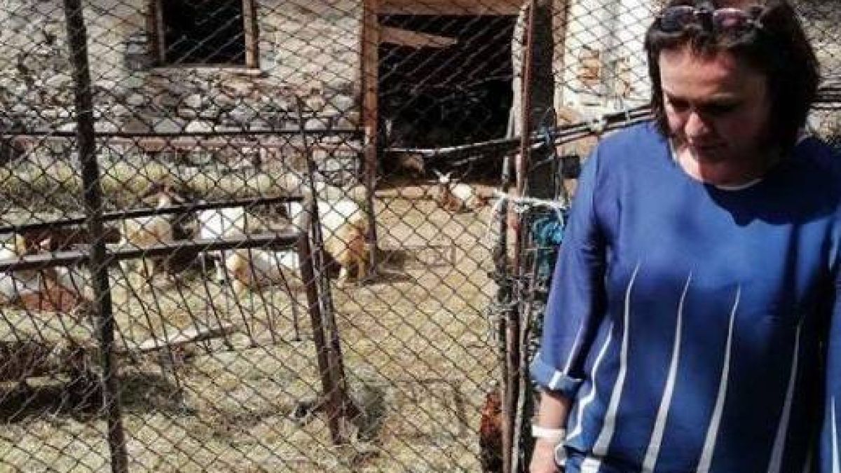 Бедната стопанка Анка от Болярово се уреди с топ адвоката Владимир Шейтанов! Кой плаща?