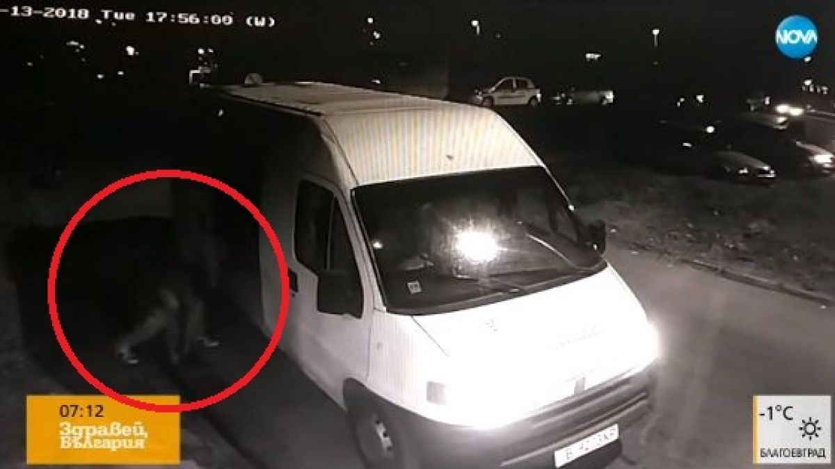 Нагла и опасна кражба втрещи водещия Виктор Николаев и всички видели случилото се (СНИМКИ)
