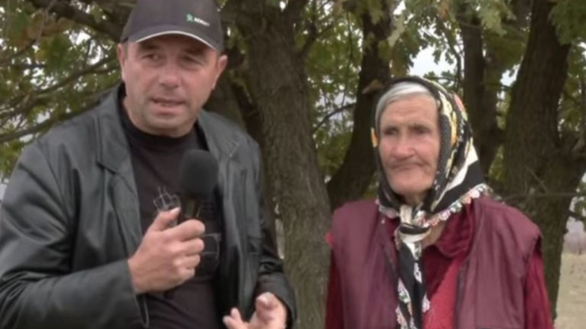 Приказка с неочакван край! Вълк нападна баба в Пловдивско посред бял ден, крава я спаси (ВИДЕО)