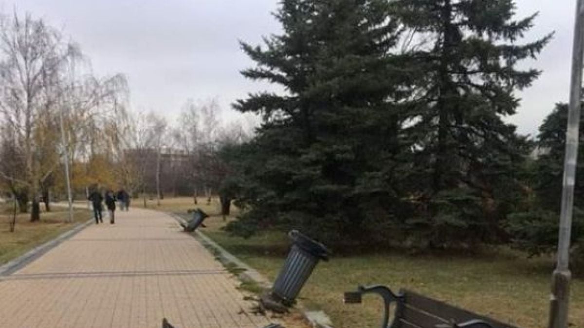 Само в БЛИЦ! Грозна сцена се разигра на метри от УНСС - „капацитет“, вилнял и правил се на герой (СНИМКА)